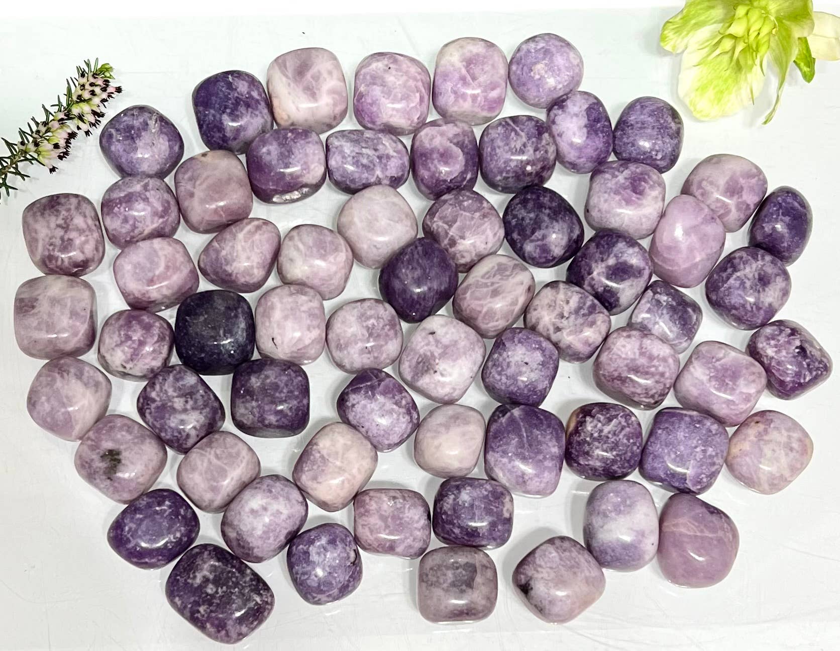 Lepidolite Tumbled Crystal