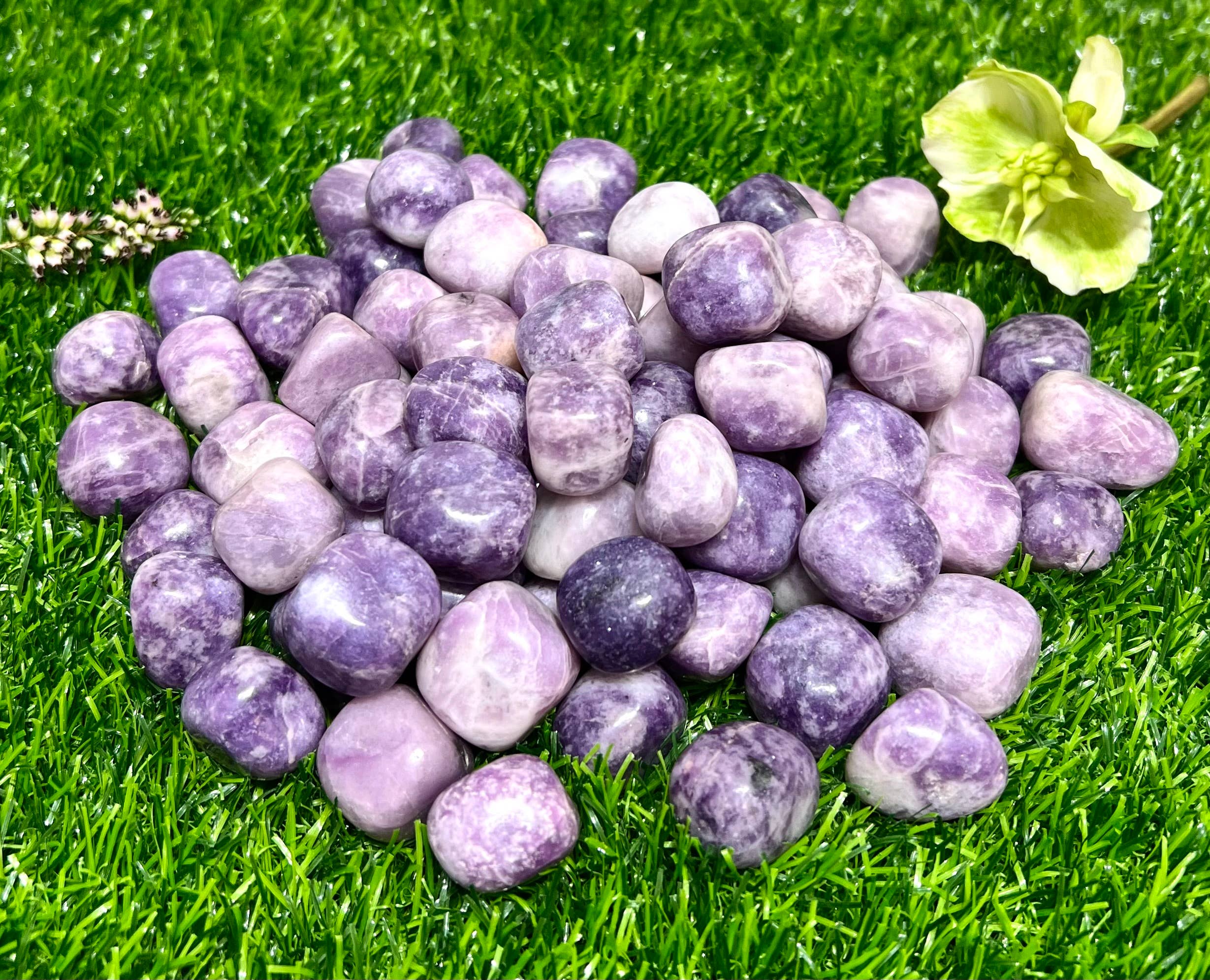 Lepidolite Tumbled Crystal