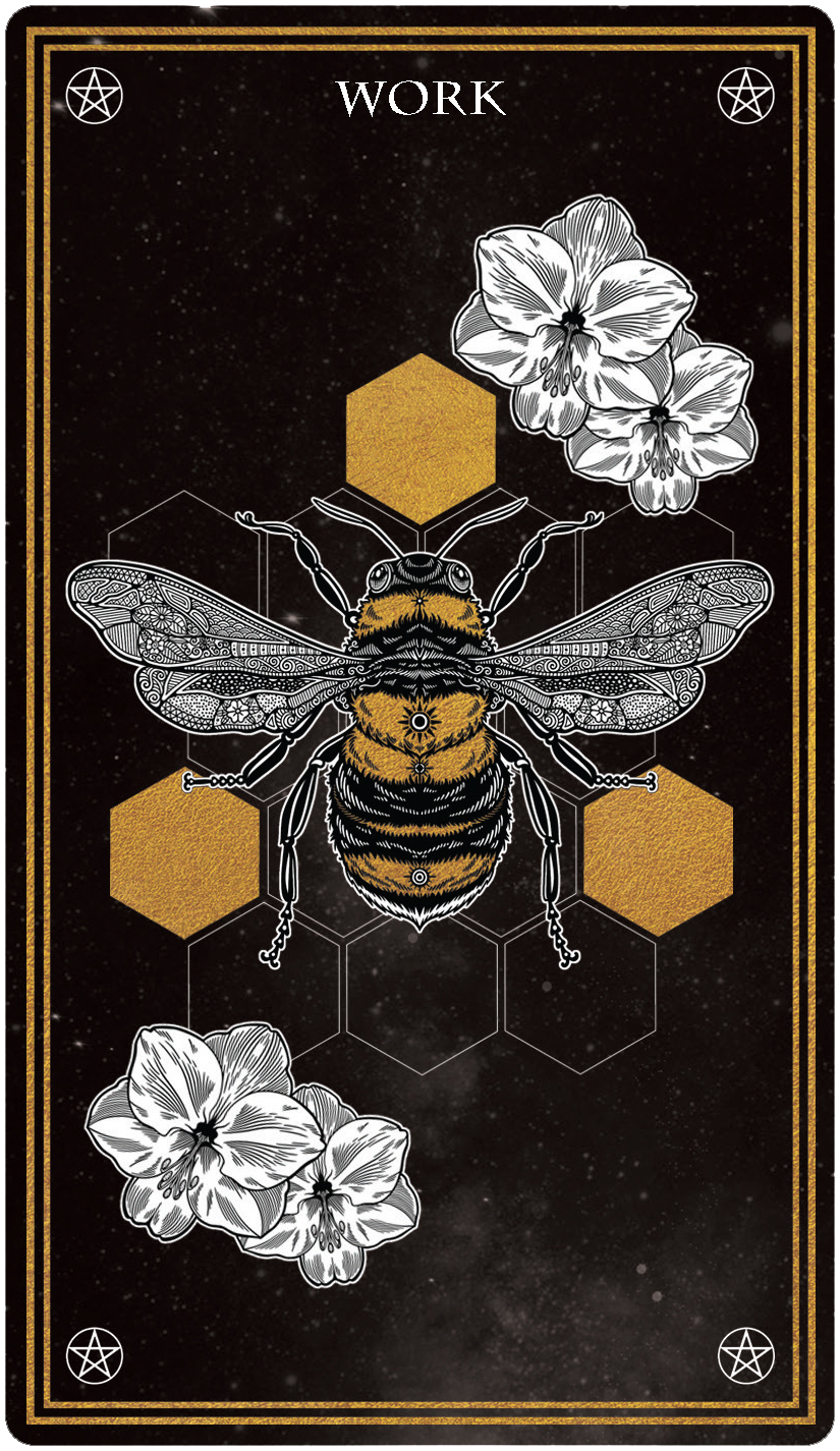 Wild Mystic Oracle Card Deck