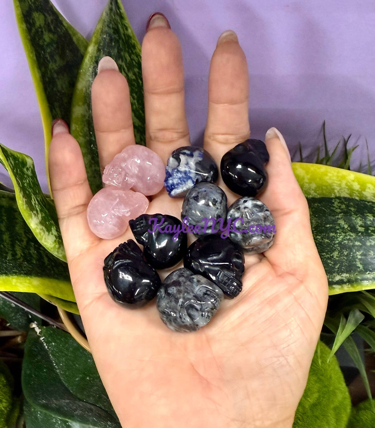 Assorted Stone Skulls