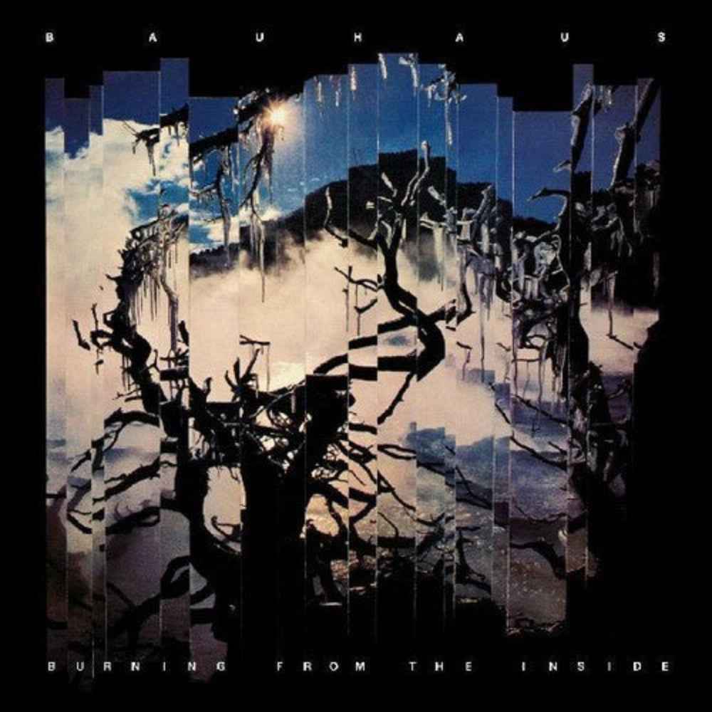 Burning From the Inside — Bauhaus (LP)
