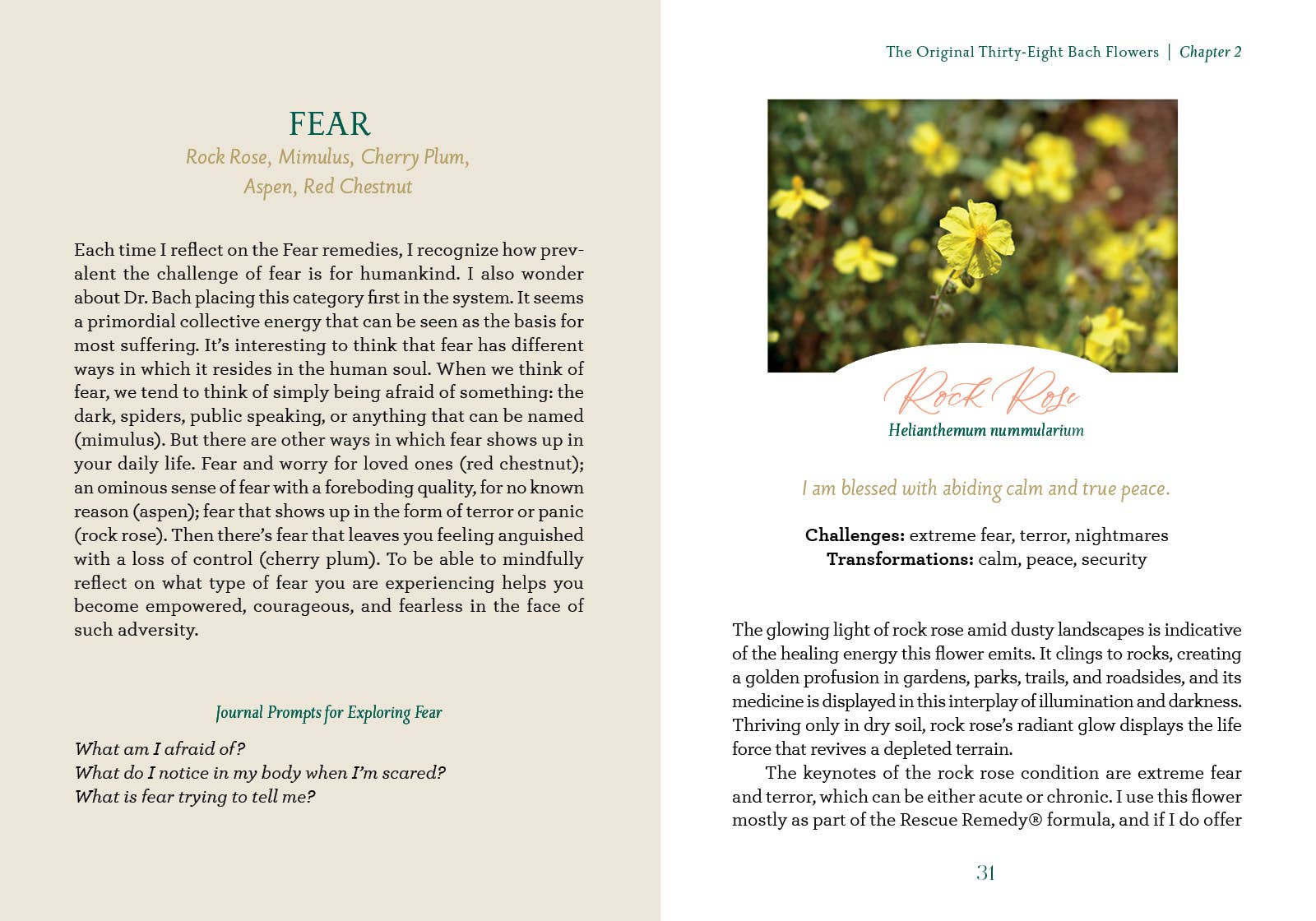 The Art of Flower Therapy