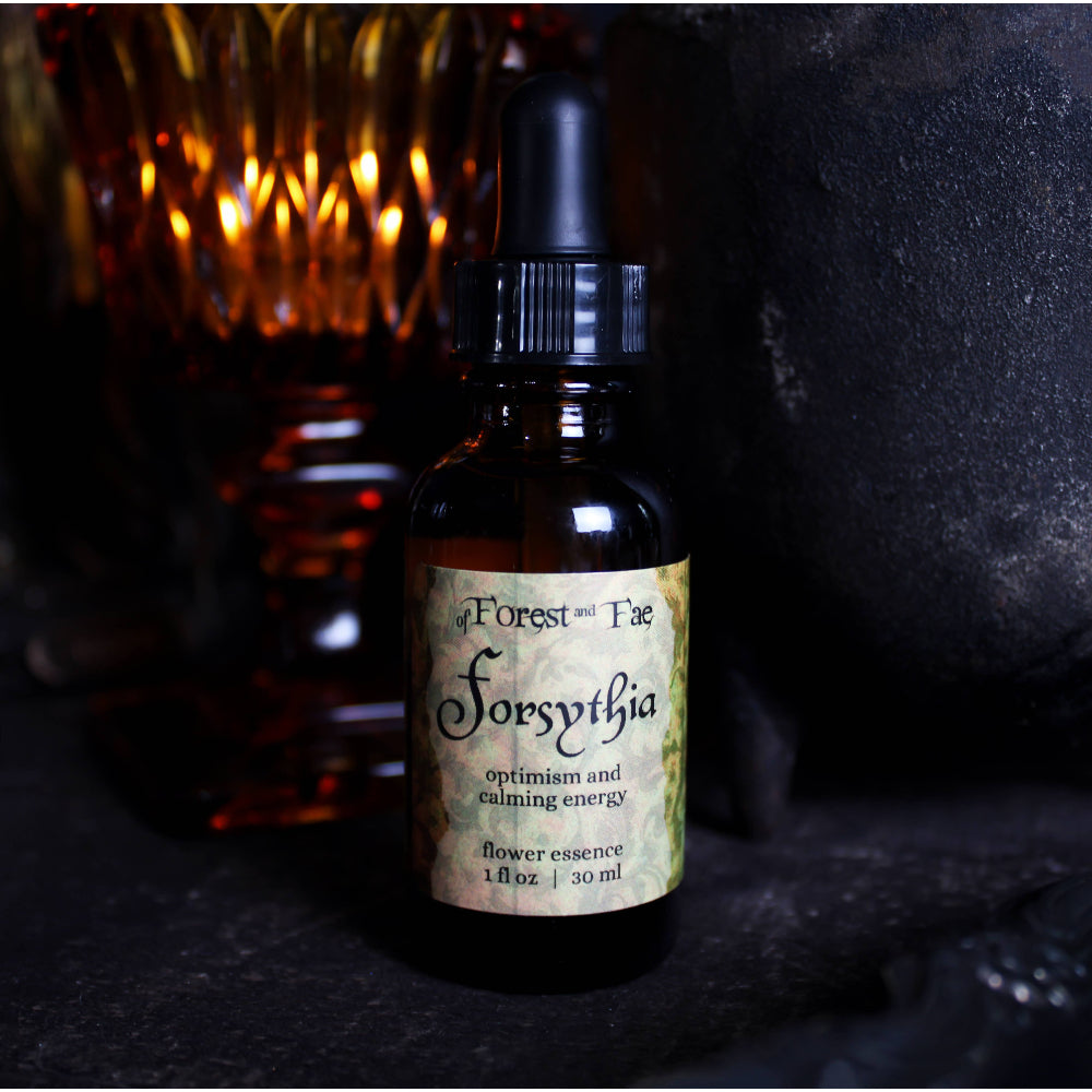 Forsythia Flower Essence for Optimism, Confidence, and Serenity