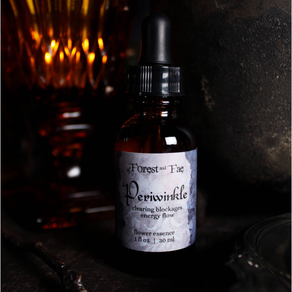 Periwinkle Flower Essence for Energy Flow and Intuition