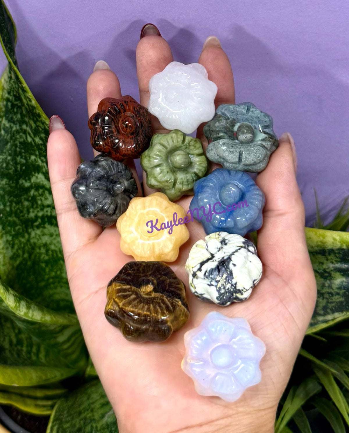 Assorted Stone Pumpkins