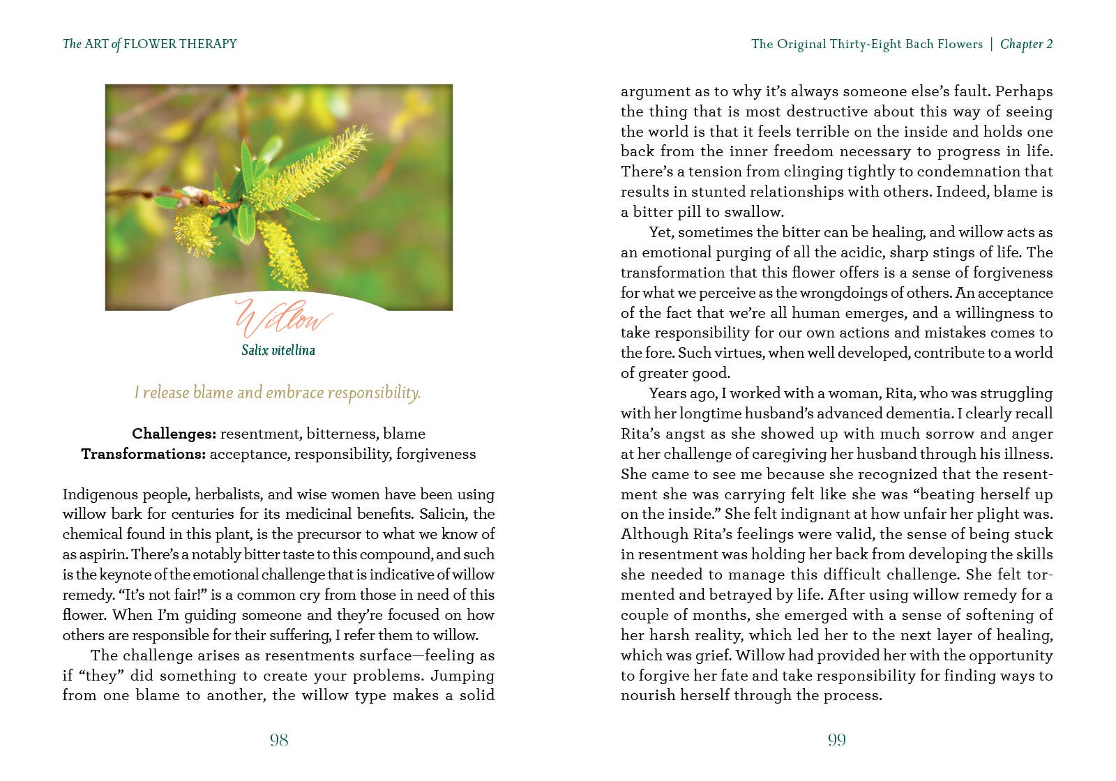 The Art of Flower Therapy