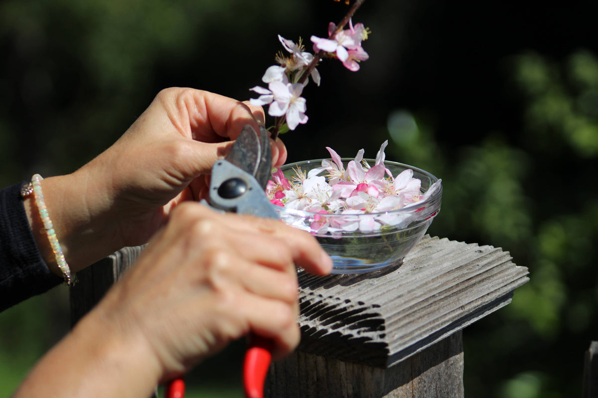 The Art of Flower Therapy