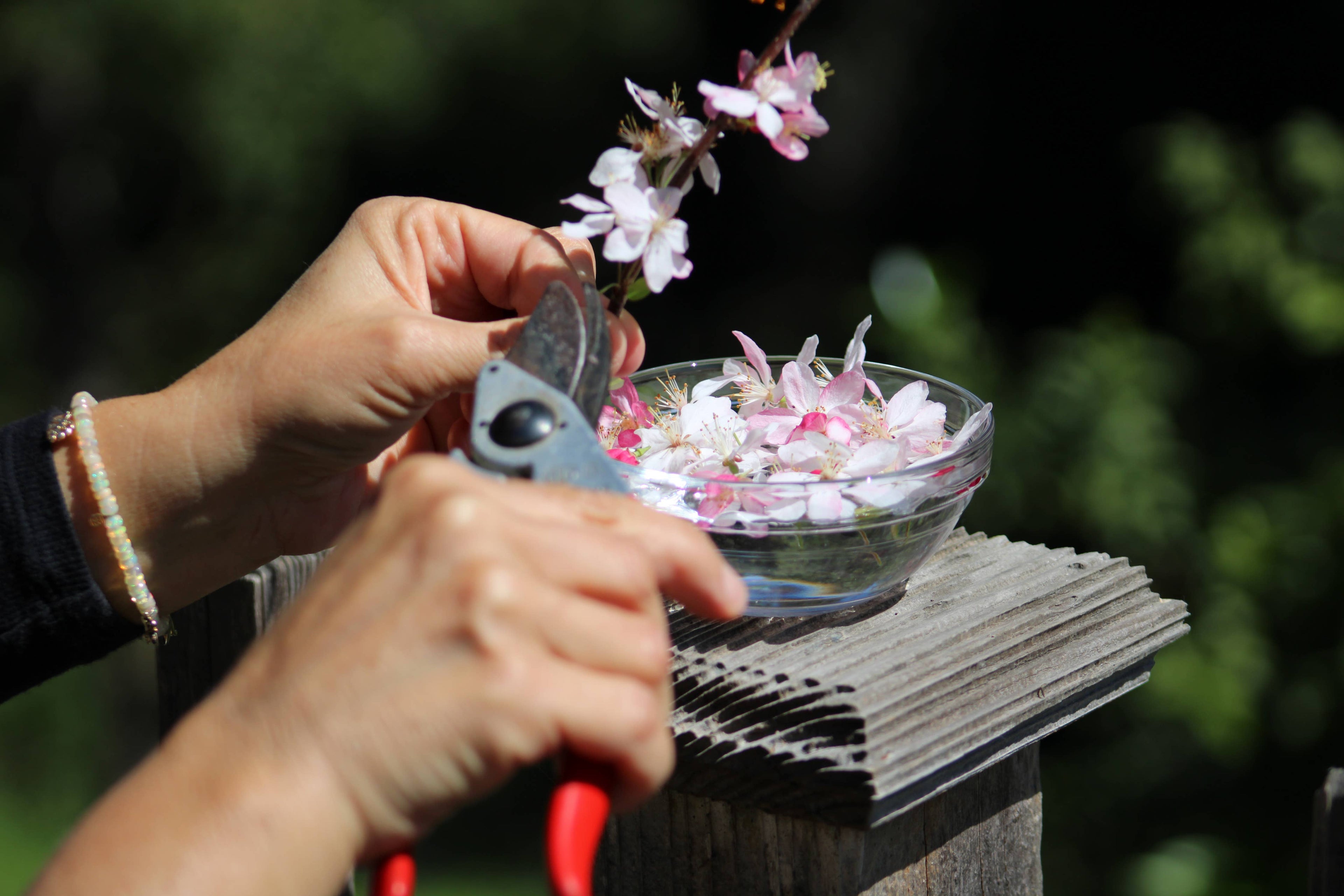 The Art of Flower Therapy