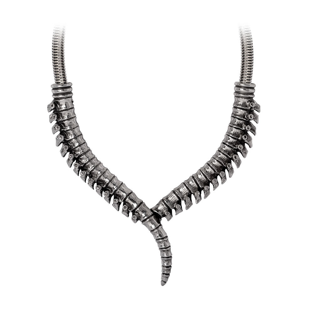 Thoracic Collar Necklace