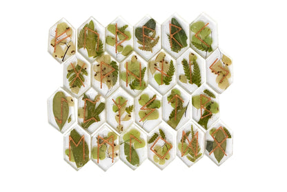 Forest Elder Futhark Rune Set