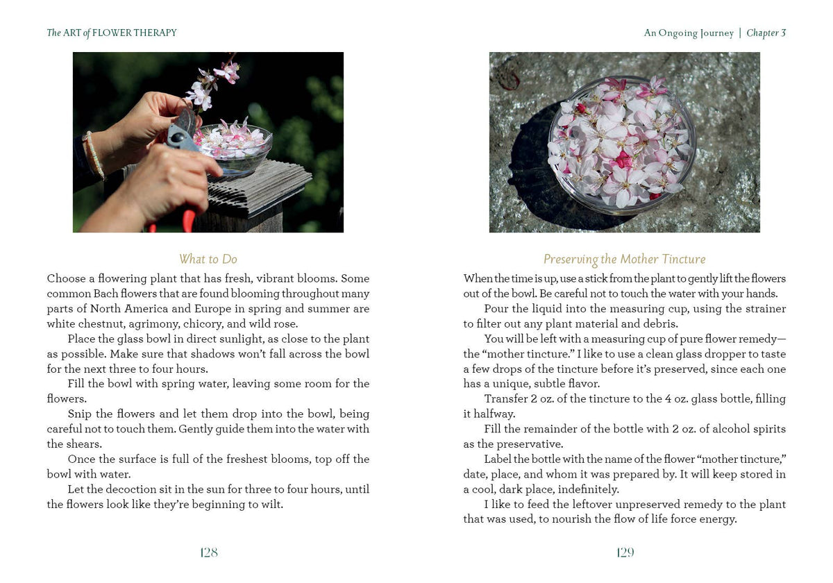 The Art of Flower Therapy