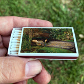 Ophelia Millais Matchbox