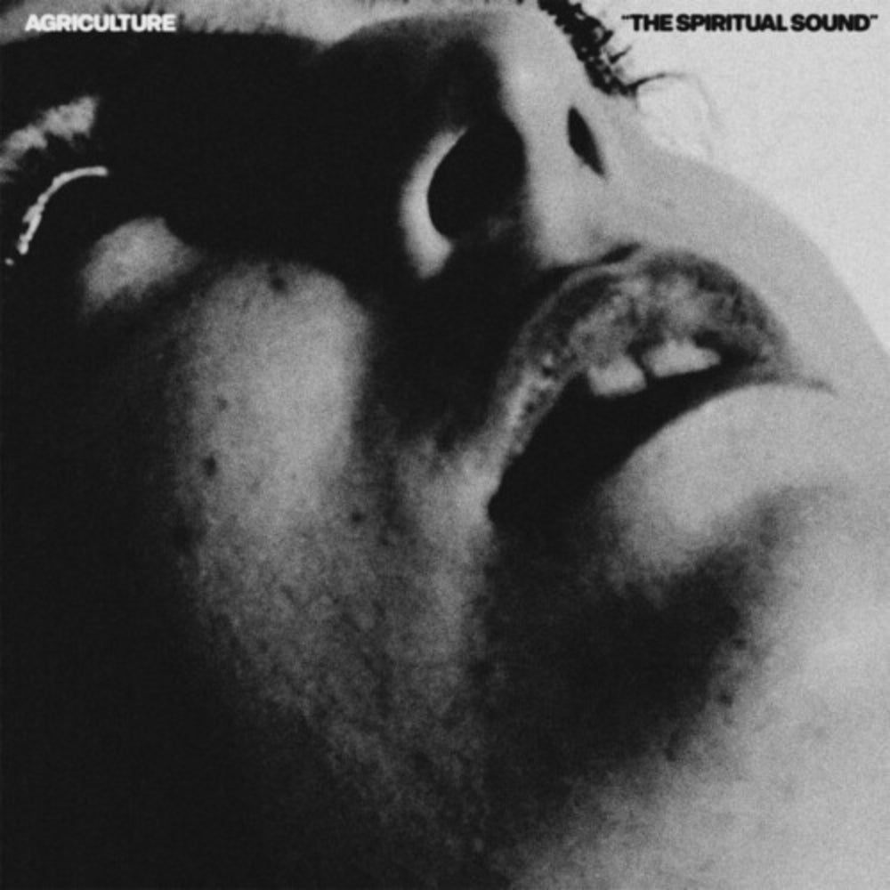 The Spiritual Sound — Agriculture (LP)