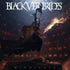 Vindicate — Black Veil Brides (CD)