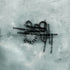 A Stranger To You — Loathe (CD)