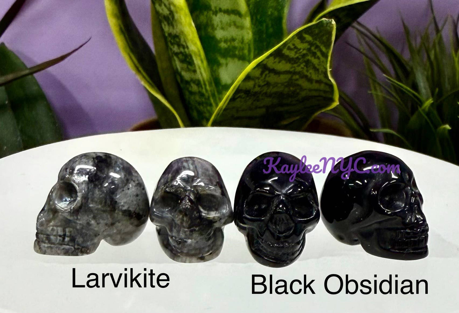 Assorted Stone Skulls