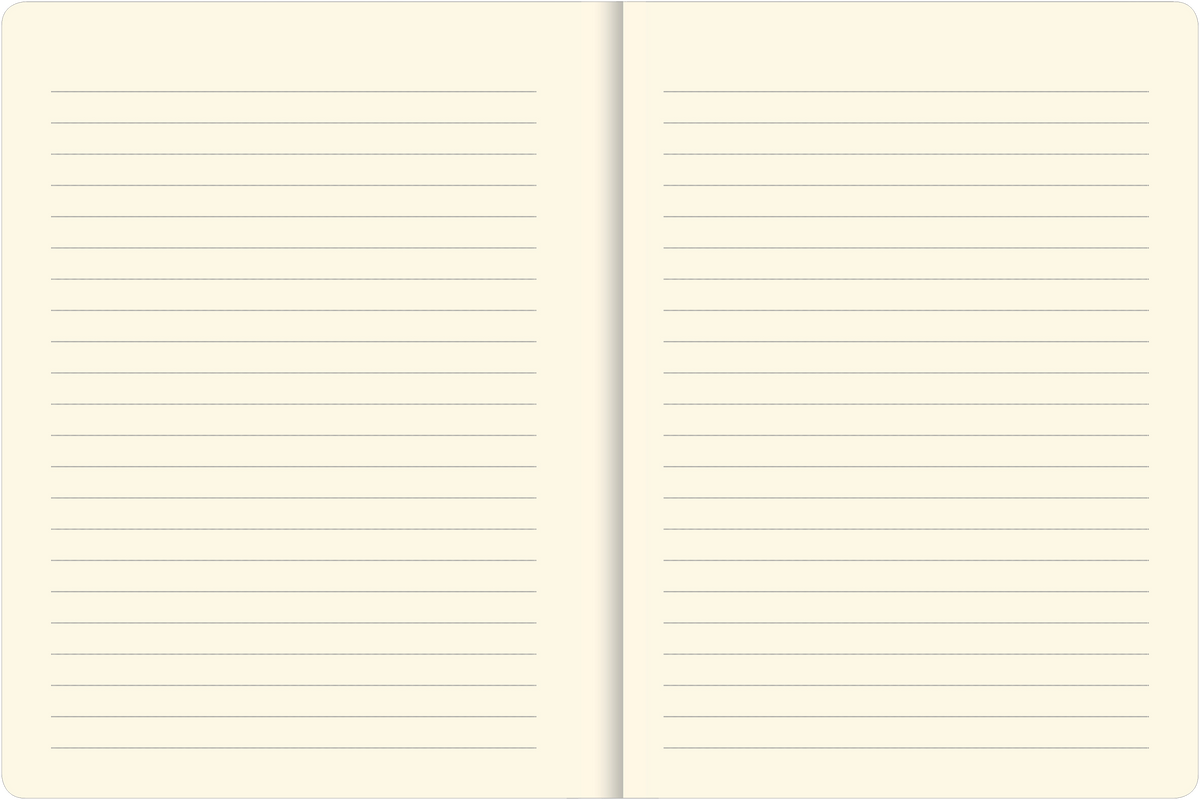 Galaxy Journal