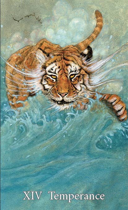 The Mary-El Tarot, 2nd Edition