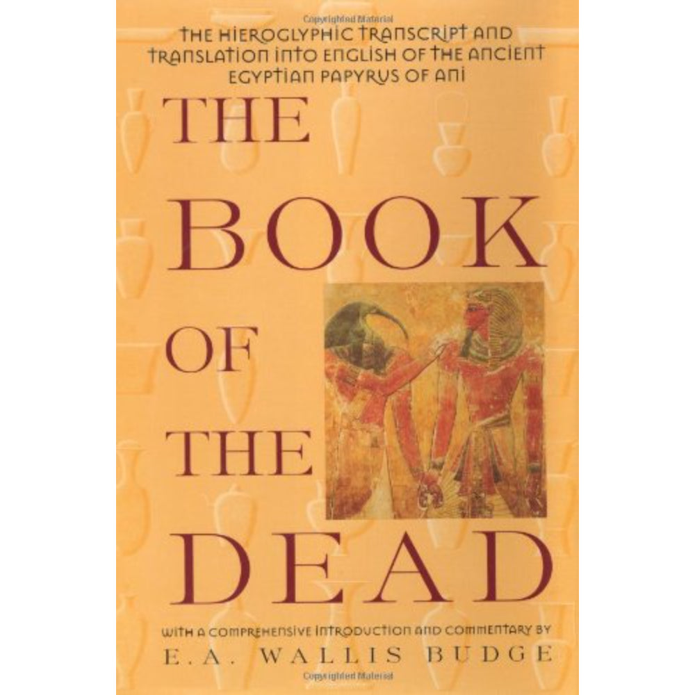 The Book of the Dead - USED Books Medusa Gothic   
