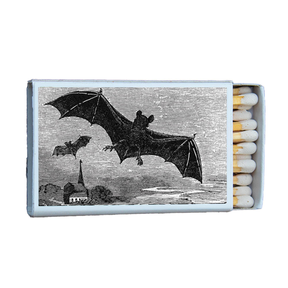 Bat Illustration Matchbox