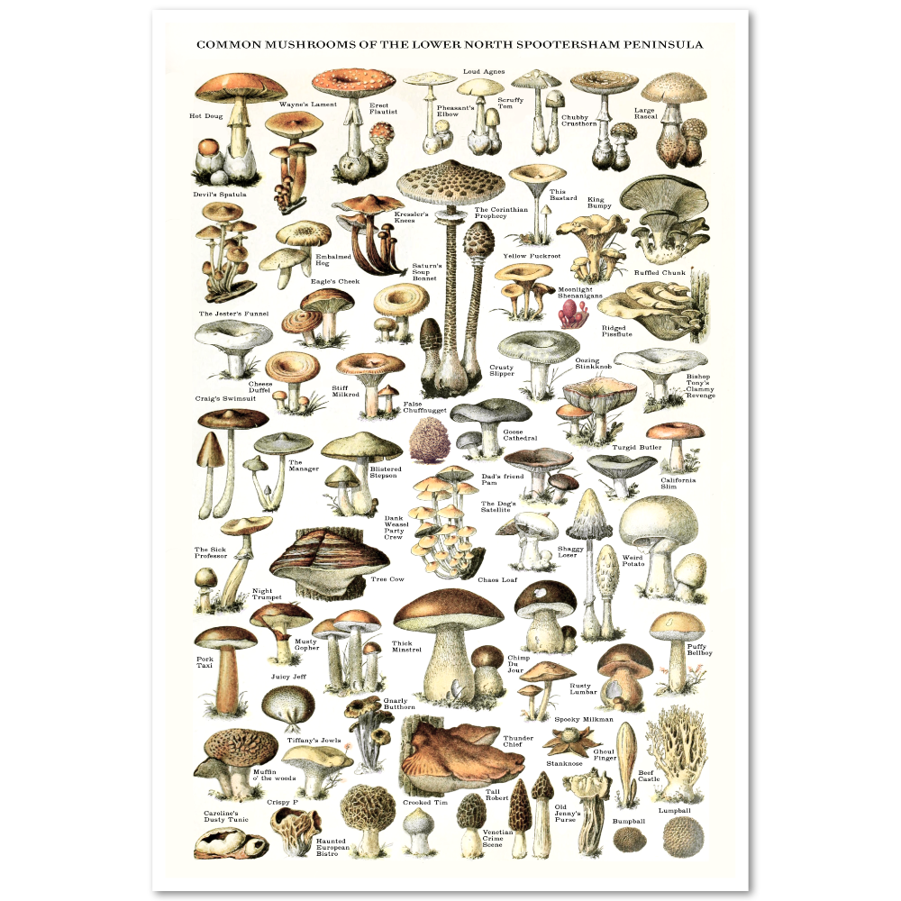 Common Mushrooms Risograph Poster