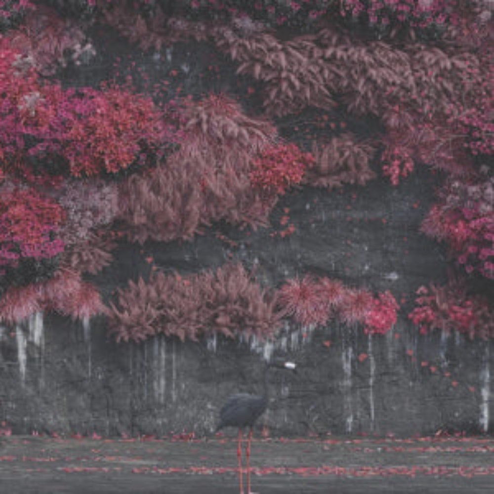 Even in Arcadia — Sleep Token (CD)