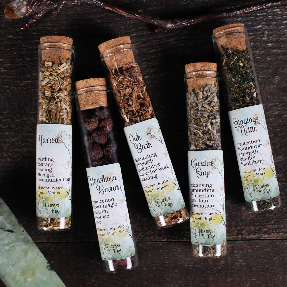 Hedgewitch’s Garden 5 Herb Set