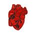 Holographic Anatomical Heart Iron On Patch
