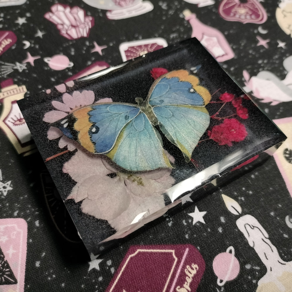 Vegan Butterfly Display Home Decor Foxglove Crafts Oak Leaf  