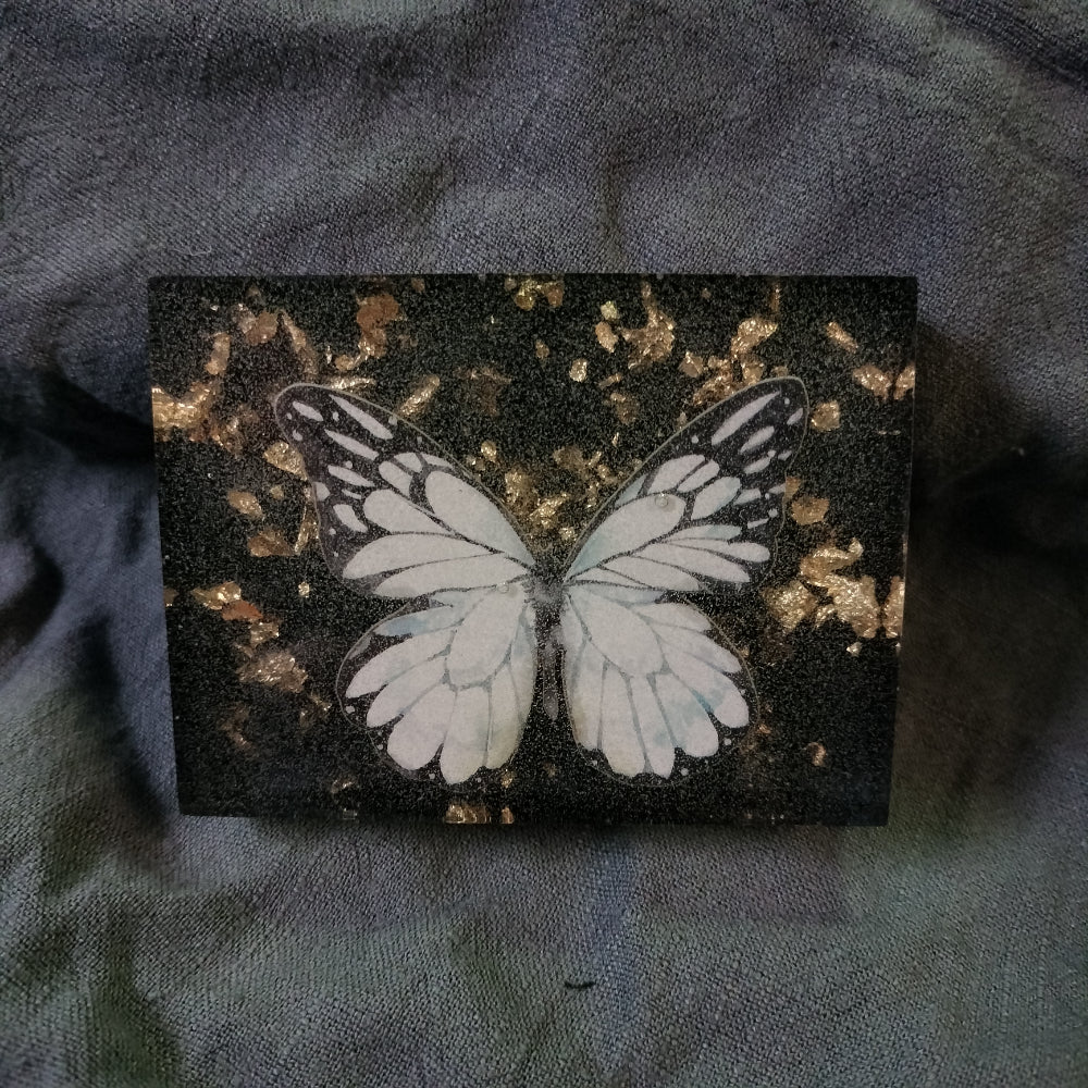 Vegan Butterfly Display Home Decor Foxglove Crafts Pieridae - White & Black  