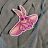 Pink and yellow cartoon-style moth on a textured gray background