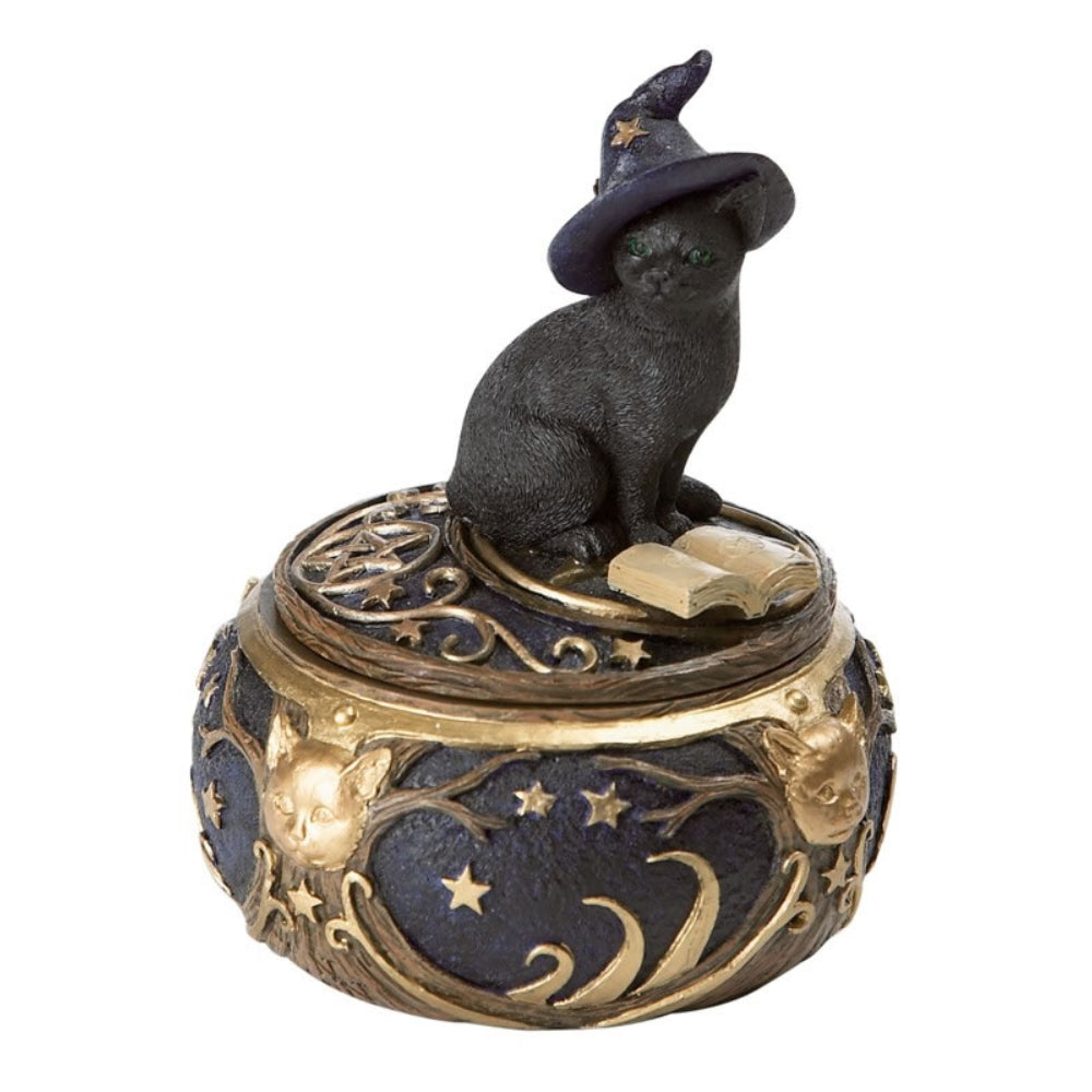 Magical Cat Box