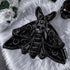 Midnight Moth Cushion