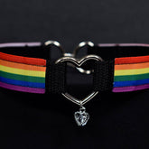 Pride Choker Rainbow Heart