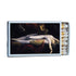 Nightmare Fuseli Matchbox