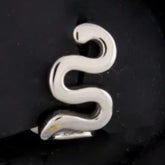 Nose Screw Snake Curve