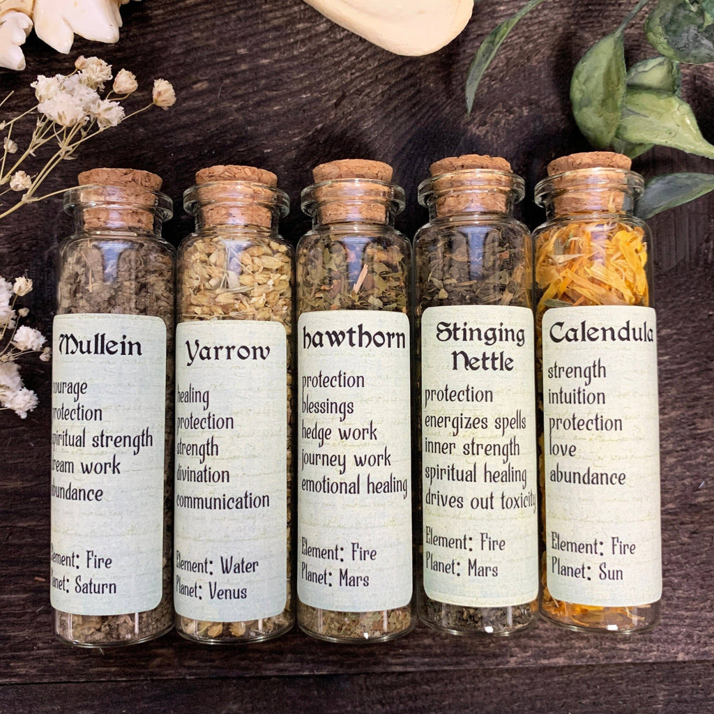 Set of 5 Green Witch Herbs Witchcraft of Forest and Fae   