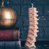 Spine Pillar Candle