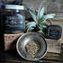Turn Inward Tea