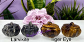 Assorted Stone Pumpkins