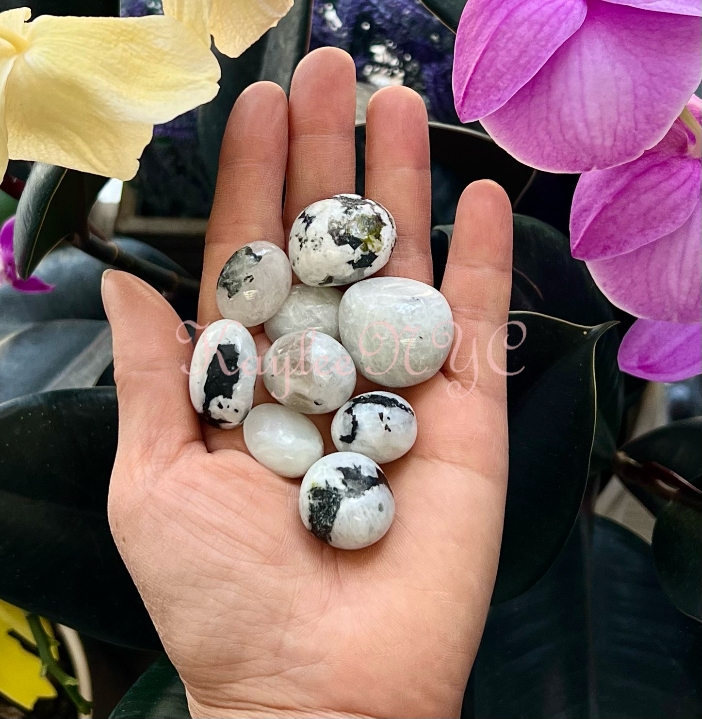 Rainbow Moonstone Tumbled Crystal