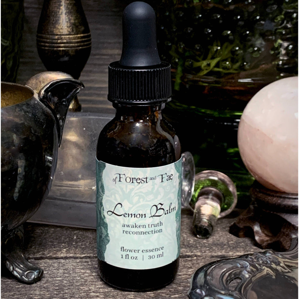 Lemon Balm Flower Essence for Intuition and Dreams Witchcraft of Forest and Fae   