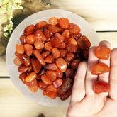 Carnelian Tumbled Crystal