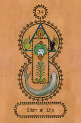 Falnama: Turkish Oracle Cards