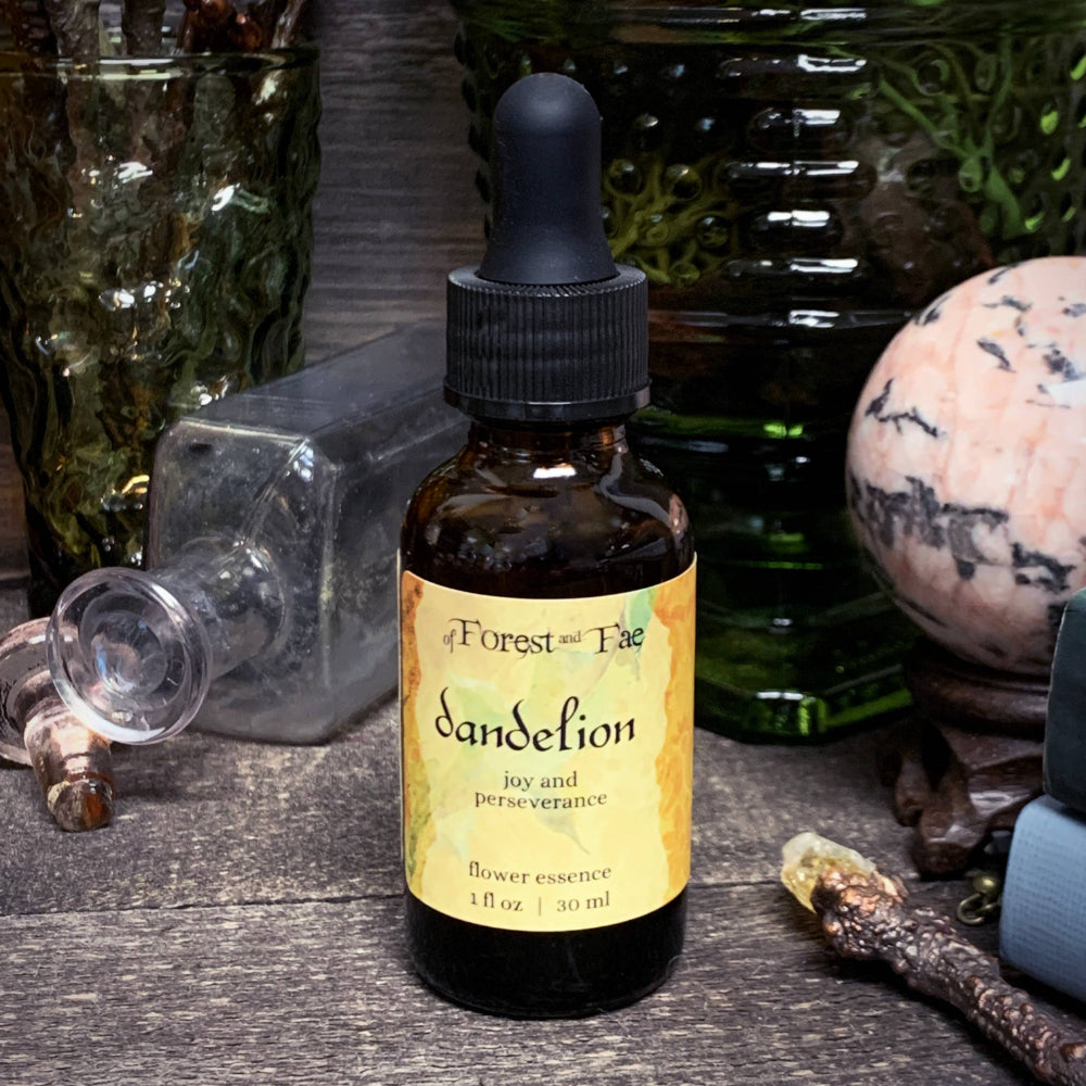 Dandelion Flower Essence for Joy and Perseverance Witchcraft of Forest and Fae   