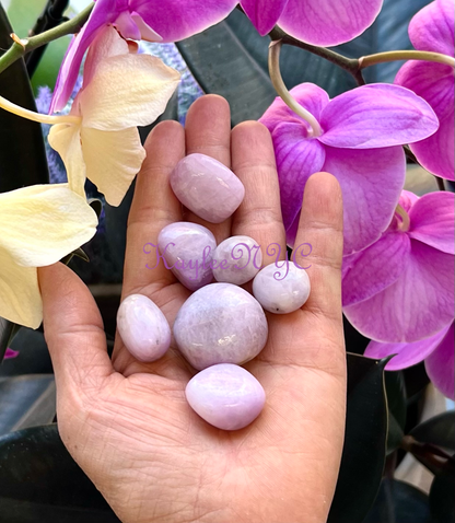 Kunzite Tumbled Crystal