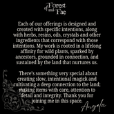 Hedgewitch’s Garden 5 Herb Set