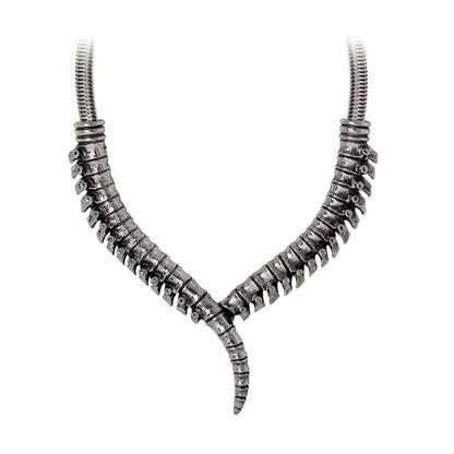 Thoracic Collar Necklace