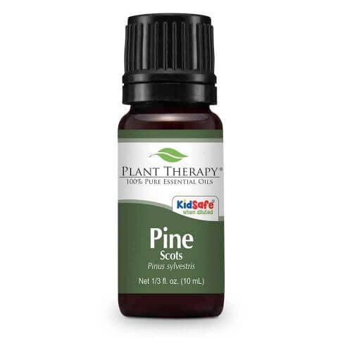 Scots Pine Essential Oil 10ml Self Care Plant Therapy   