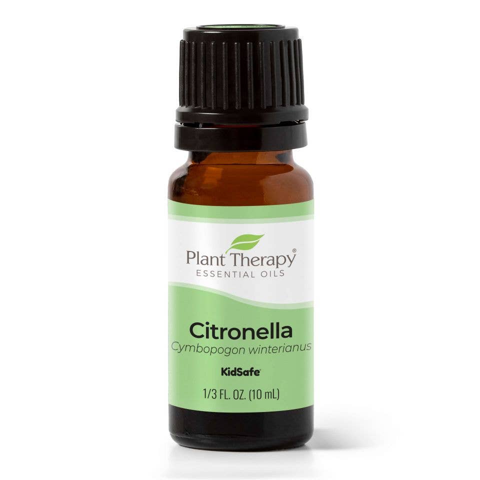Citronella Essential Oil 10mL Self Care Plant Therapy   
